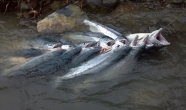 1-2012-07-23_14-01-26_267