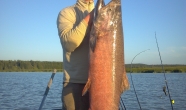 1-2013-07-29_21-17-50_260
