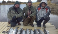 1-2013-09-27_17-14-32_662